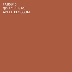 #AB5B40 - Apple Blossom Color Image